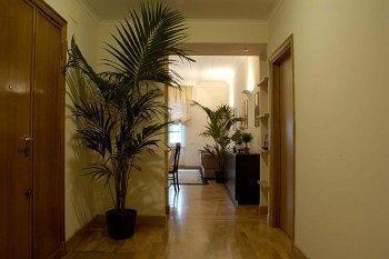 Domus Cavour Rom